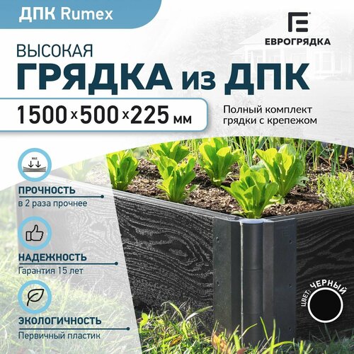 ���� ������ �� ��� 1.5 � x 0.5 �, (����� Rumex: 225�30 ��, ����: ������)