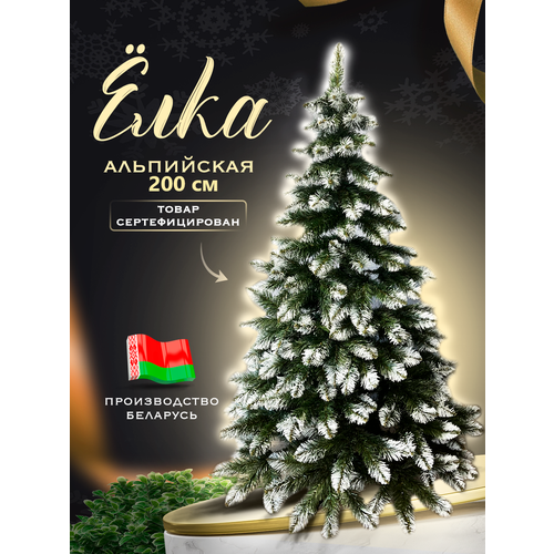 ���� ���� ������������� ���������� ����������� �������� 200 ��, 340 �����, 16 ������