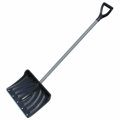 ���� ������ �������� 