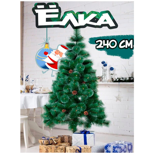 ���� ���� ������������� � ������� � �����, 240��