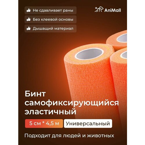 ���� ���� ����������������� ���������, �������������, ������������, ����������, ���������� 5 �� � 4,5 � (���������)