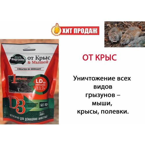 ���� �������� �� ���� � ����� ��������� ����������� 300 �