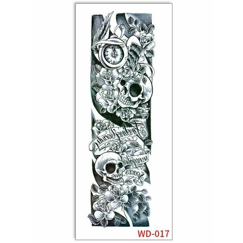 ���� ���������� ��������� ���� ����� �� �������� / 43 � 15 �� ����