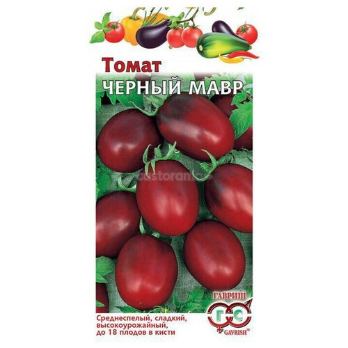 ���� ������ ������ ����� ������ ����