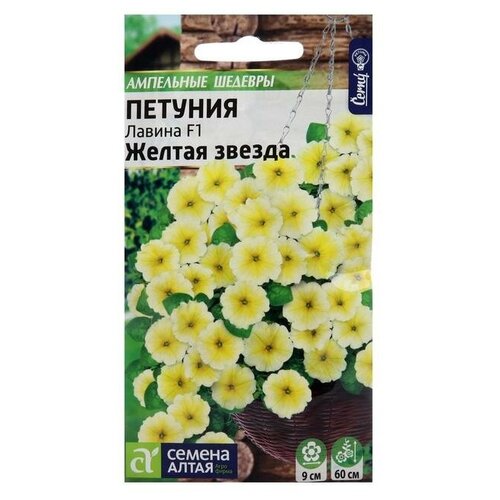 ���� ������ ������� ��������� ������ ������ ������ F1 ���������� 10 ��.