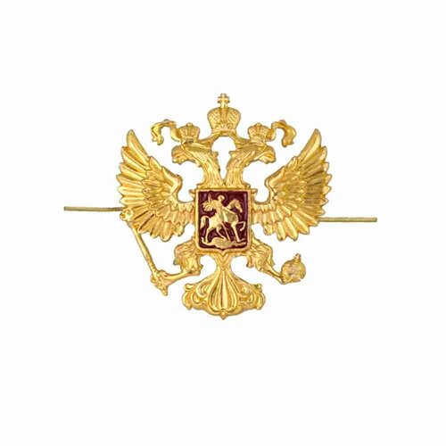 ���� ������� ��� �������