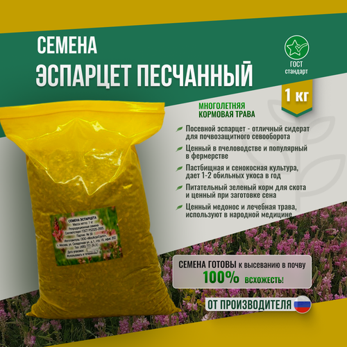 ���� ������ ��������� 1 �� ������������