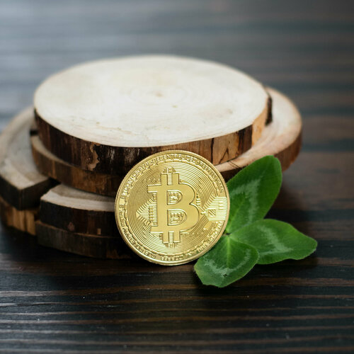 ���� ������ ���������� ���������� Bitcoin BTC ������� (������) � ����������� ���������� ������� (d 4,1��, ��� 21�)