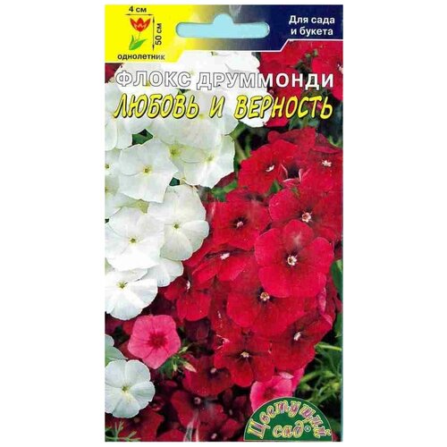 ���� ������ �������� ��� 