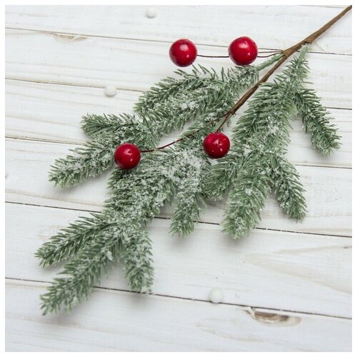 ���� ����� 