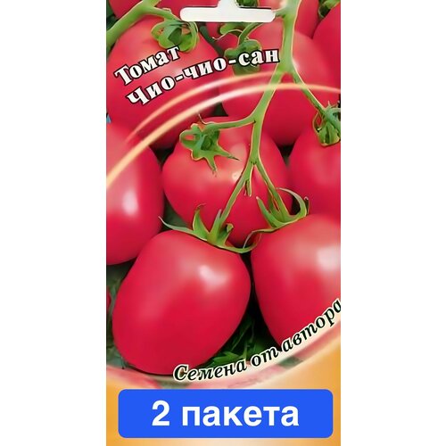 ���� ������ ������ ������ 