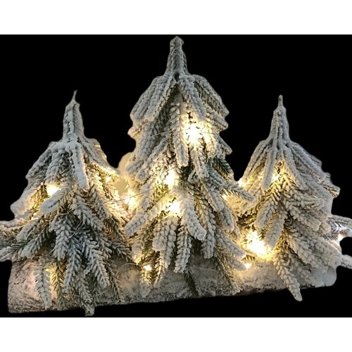 ���� ���������� ������������ ���� 