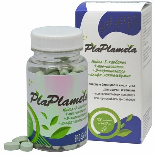   Plaplamela - - 120  -     , -  