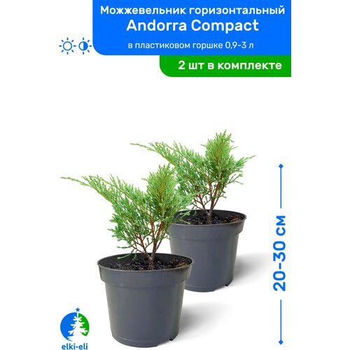    Andorra Compact ( ) 20-30     0,9-3 , ,   ,   2 