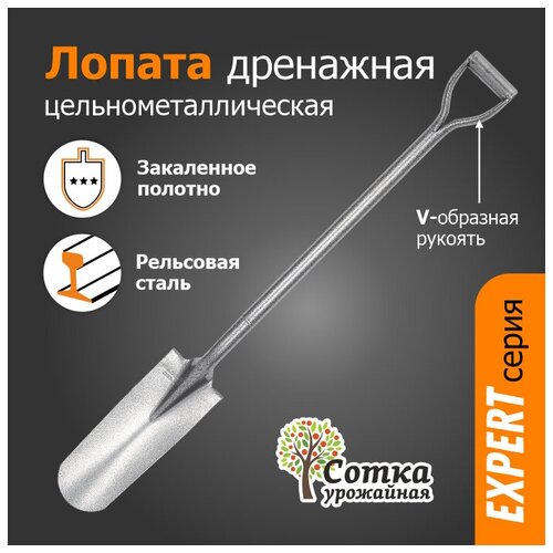 ���� ������ ������� �������� ��������� ����� 