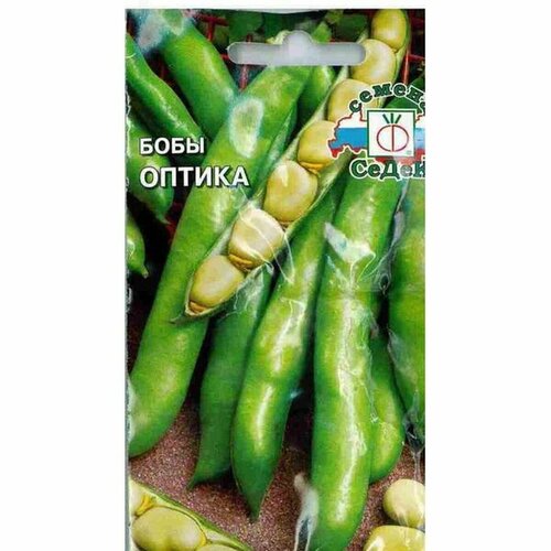 ���� ������ ���� ������ (�����) 10�