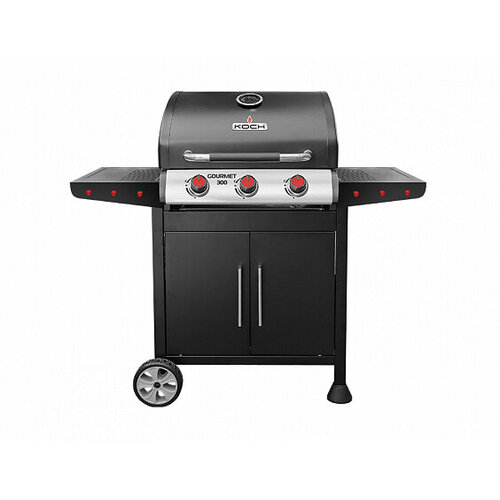 ���� ����� KOCH Gourmet 300