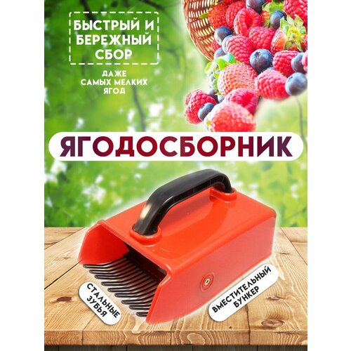 ���� ������� ������������ � �������������� �������, (������������), ������� ��� ����� ���� (Kaisa)