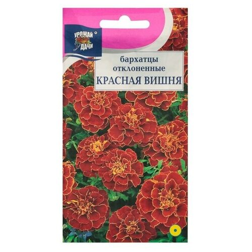 ���� ������ ������ �� �������� ����. '������� �����',0,3 ��