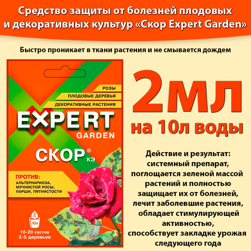 ���� ���� ��� �������� 2�� �������� ������ �������� �� ��������