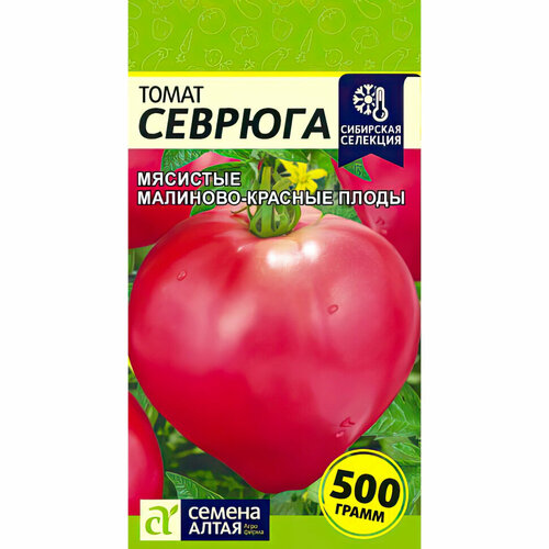 ���� ������ ������ 