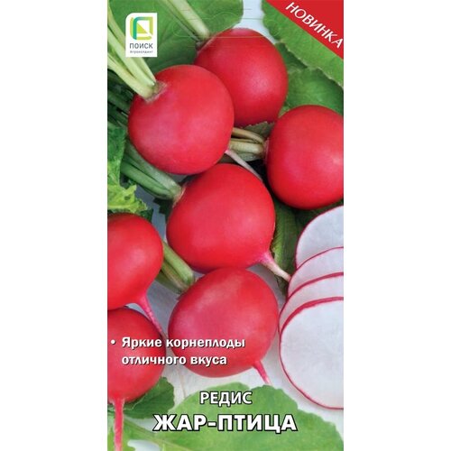 ���� ����� 