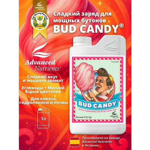 ���� Bud Candy