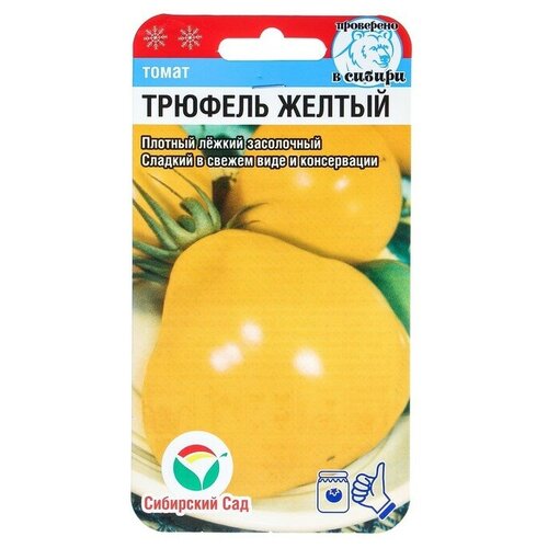 ���� ������ ����� 