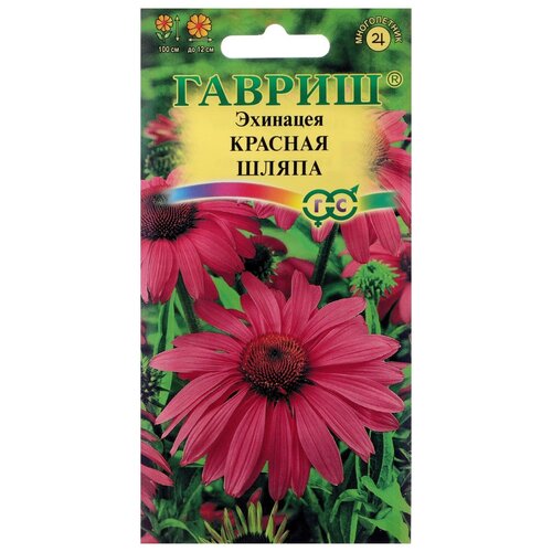 ���� ������ ������ �������� 