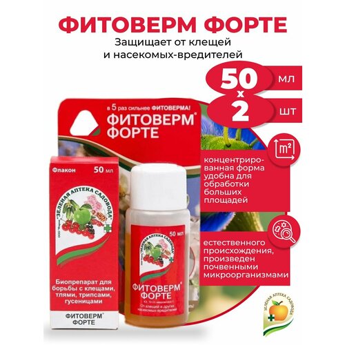 ���� ������ �� ������ � ���������-���������� �������� �����, �� (10 �/� ����������� �), 50 �� 2 ��