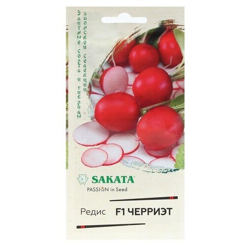     Sakata   F1 0,5   -     , -,   