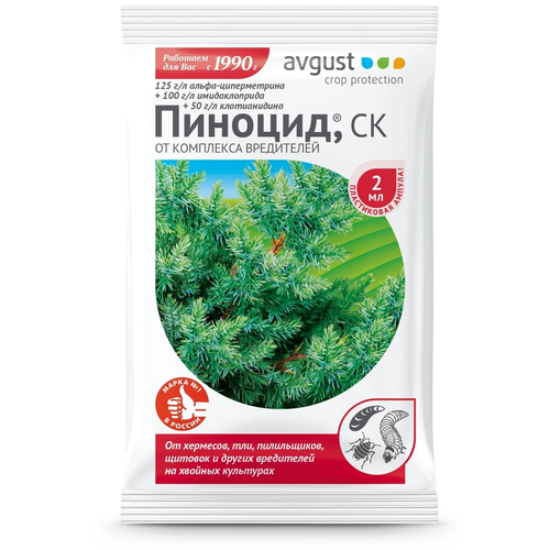 ���� Avgust �������� ������ ��������� ���������� �� ������� ��������� �������, 2 ��