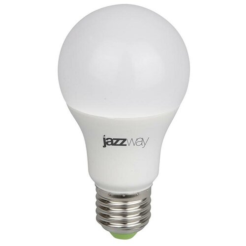     Jazzway PPG A60 Agro 15w FROST E27 IP20 5025547 16092192