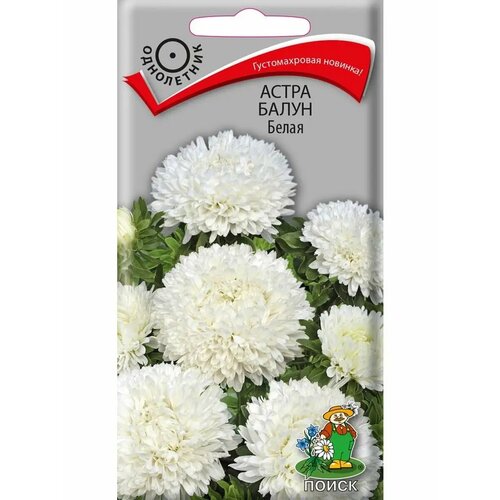 ���� ����� 