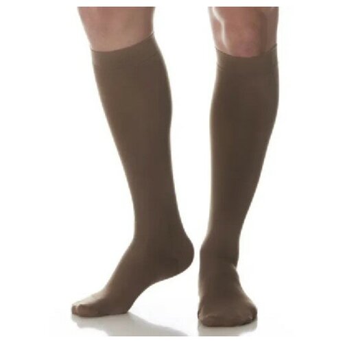 ���� ������ ������� Ergoforma, 1 ����� ����������, 312, ���� ����������, ������ 2