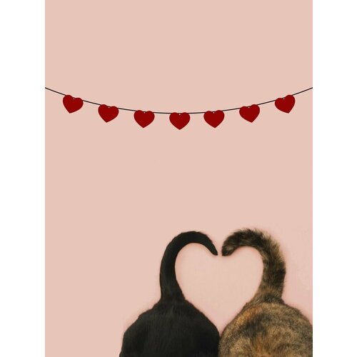 ���� �������� �������� �������� �� ���� ������� - ������