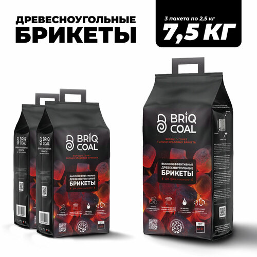 ���� 3 �������� BriqPACK �� 2.5 �� - ����������������� ���������������� ������� BRIQCOAL