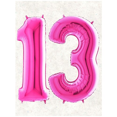 ���� ����� �����: ����� 13 ���, 100 ��