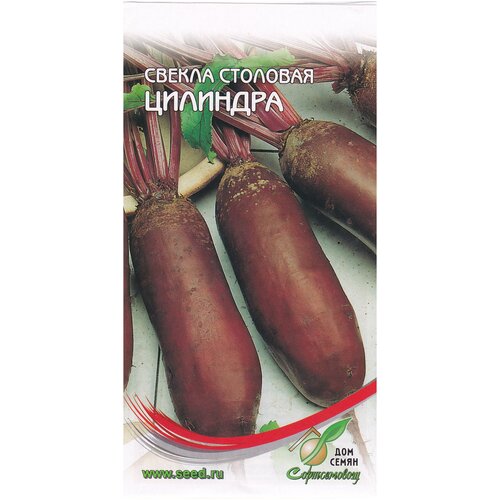 ���� ������ ��������, 140 �����