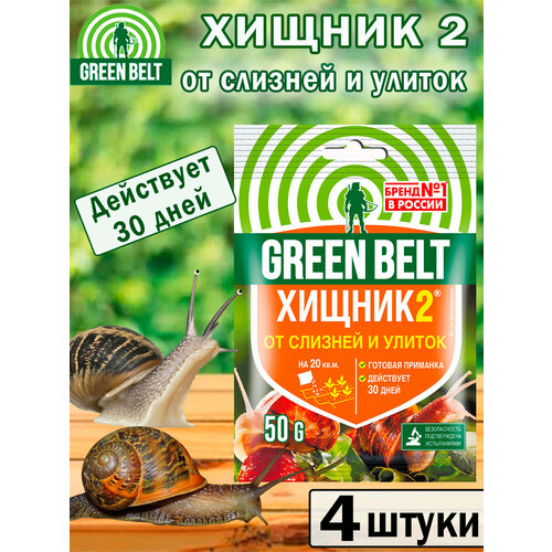 ���� �������� �� ������� � ������ ������2, 50��, 4 �����