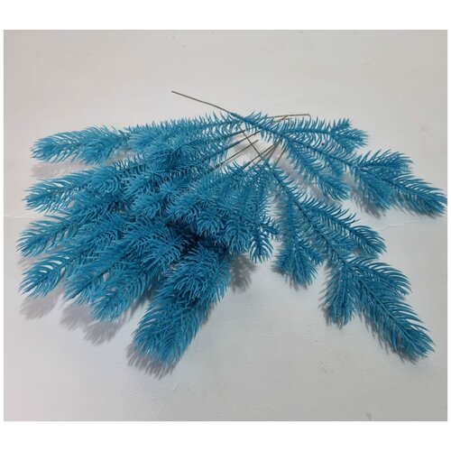 ���� ����� ������ 6 ���. �������. �� ������������� �����. ������ 27 ��. 10 ��