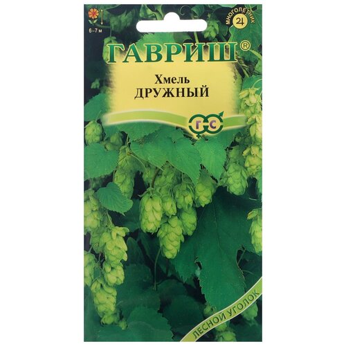 ���� ������ ������ ����� �������, 0.1 �