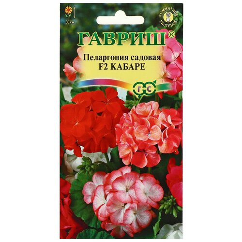 ���� ������ ������ ���������� 