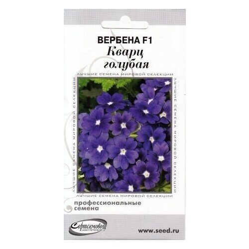 ���� ������� F1 �����, �������, 8 �����