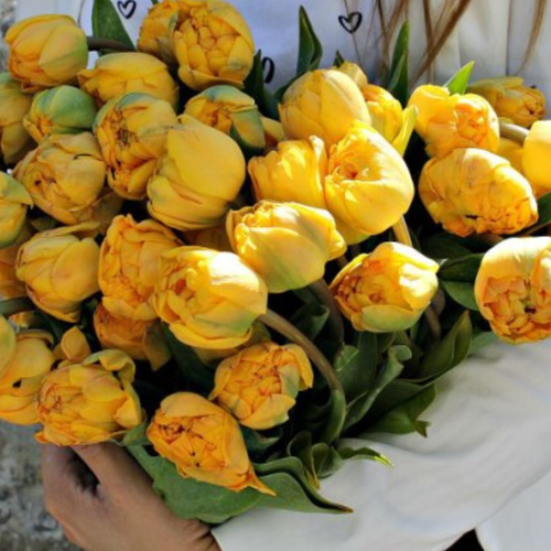 ���� �������� �������� DOUBLE TROUBLE ( 5 �� )