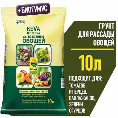   10 .       KEVA (     , , )  -     , -  