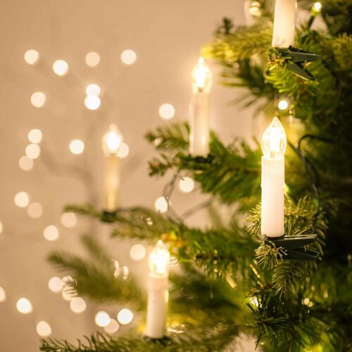 ���� ����� ��� ����, ������������� ��������, ���������� �������� �����, 5 �, ������ ������, ���������� ������