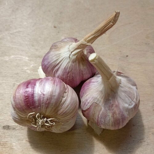 ���� ������ ������ �����, ��������� ���������������� ������ ��������, 3 �� �������