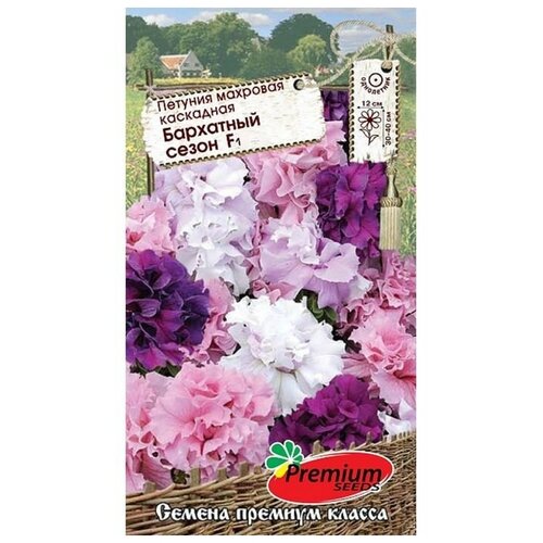 ���� ������ ������ ������� �������� ��������������� ��������� ����� F1, �����, �, 10��