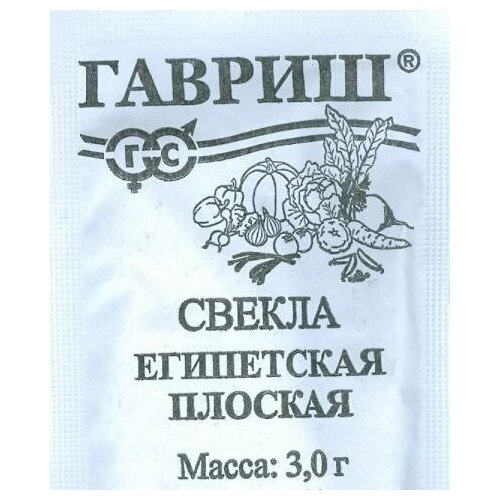 ���� ������. ������ 